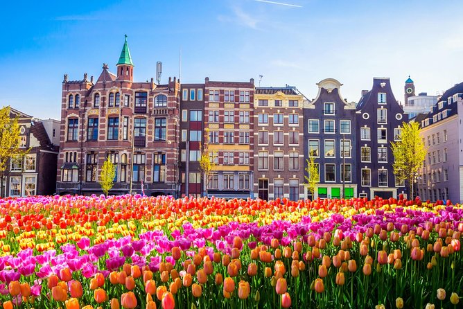 Amsterdam Day Trip from Brussels - What the $82.68 price really covers