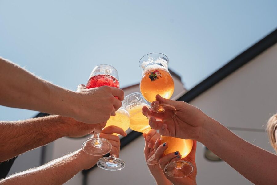 Antwerp: City Brewery De Koninck Interactive Tour - Who will enjoy this tour most