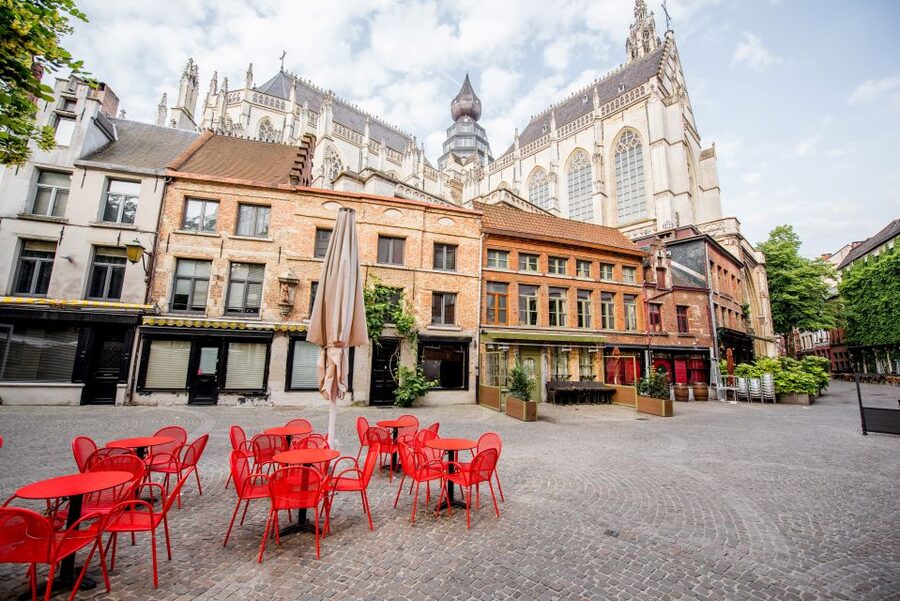 Antwerp: Express Walk with a Local in 60 minutes - Central Station and Meir: Antwerp at full speed