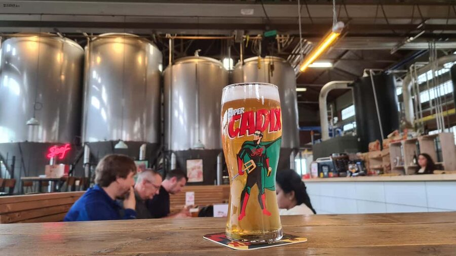 Antwerp: Pub Crawl in the Historical City - Booking Details Worth Knowing