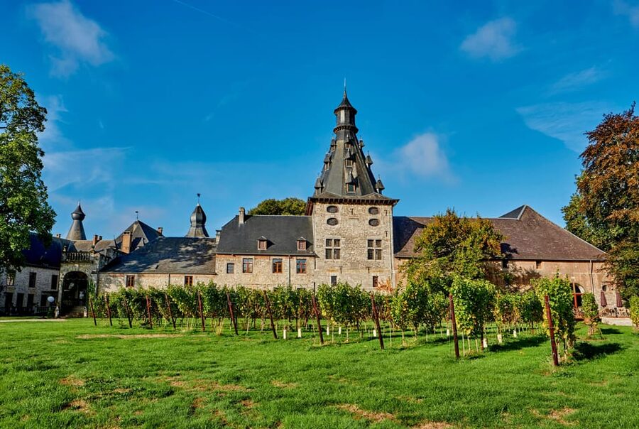 Bioul (near Dinant) : Château de Bioul Tour and Wine Tasting - Key points at a glance