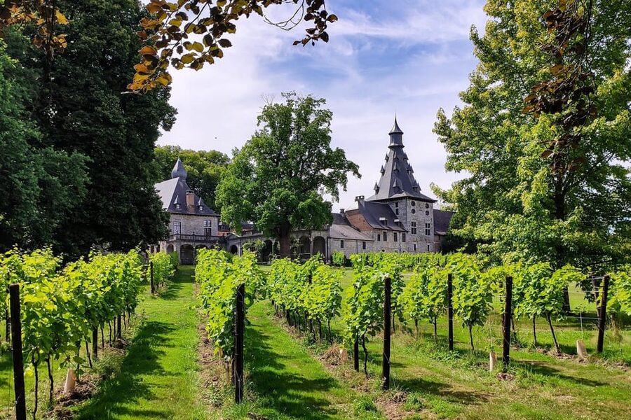 Bioul (near Dinant) : Château de Bioul Tour and Wine Tasting - Inside the château: architecture, objects, and quiet corners