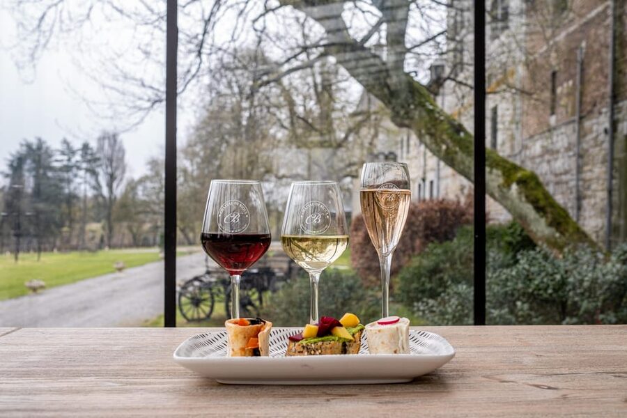 Bioul (near Dinant) : Château de Bioul Tour and Wine Tasting - The tasting: local wine with local products