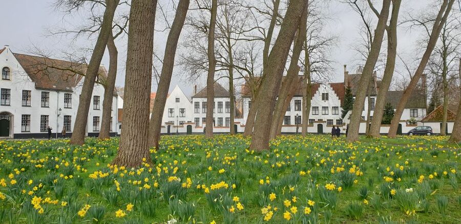Bruges: 2.5-Hr Walking Tour from train station to Markt - Walplein and the de Halve Maan brewery