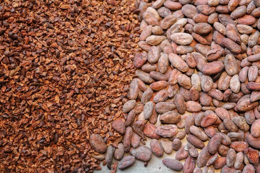 Brussels: Chocolate Appreciation and Tasting Walking Tour - The guides make or break the two hours