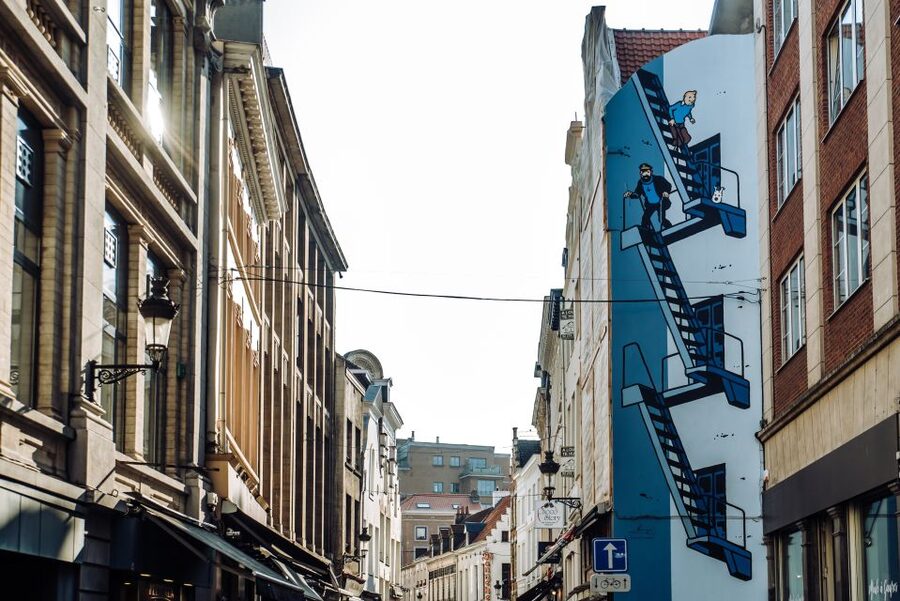 Brussels Comics & Street Art: Private Walking Tour - Starting at Zuidstation and finding Brussels on foot