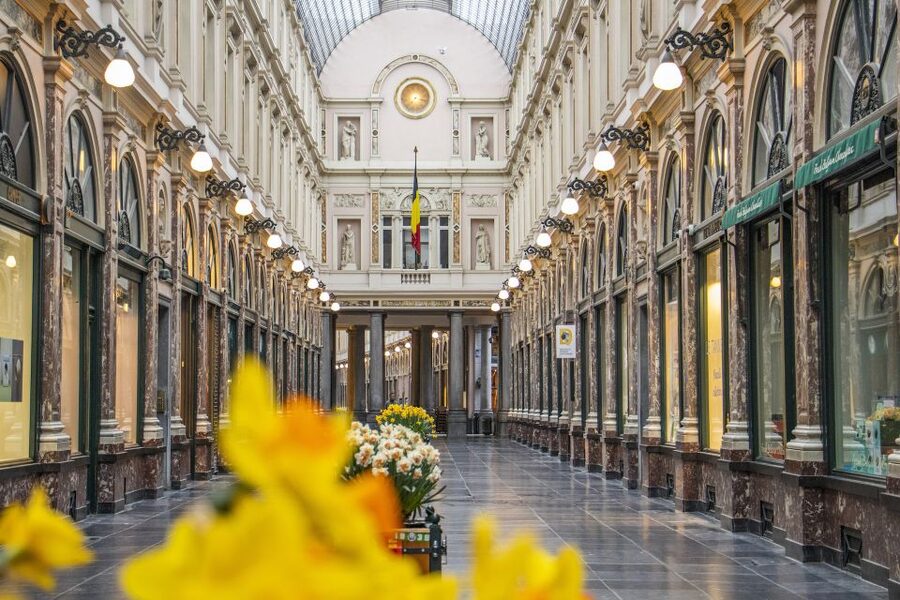 Brussels: Express Walk with a Local in 60 minutes - Grand Place: Brussels’ grand opening scene