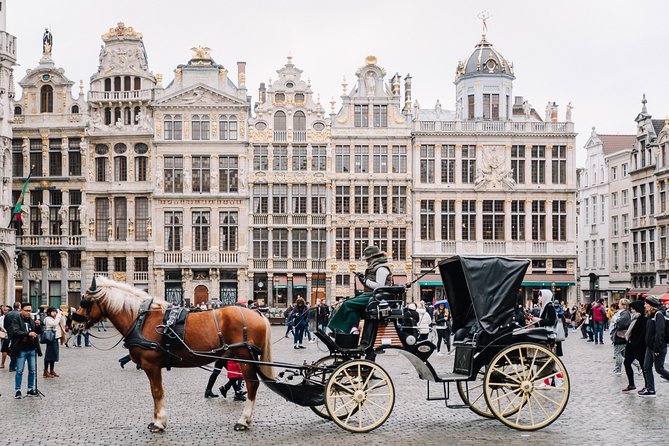 Brussels Half-Day Tour with a Local Guide – Private & Custom - Starting at Grand Place