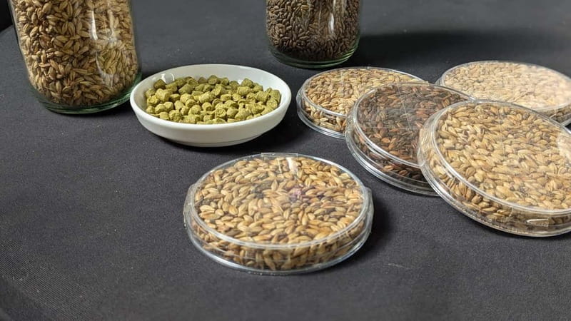 Brussels: micro brewery & distillery tour + beer tasting - Beer and spirits in the same working space
