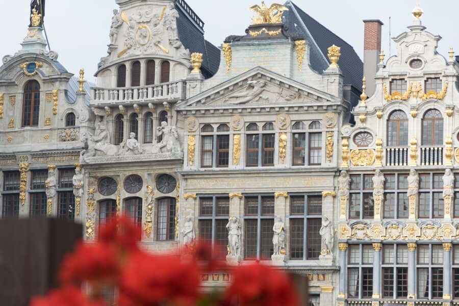 Brussels: Private Tour of the Upper and Lower City - Starting at Grand Place, Brussels’ grand introduction
