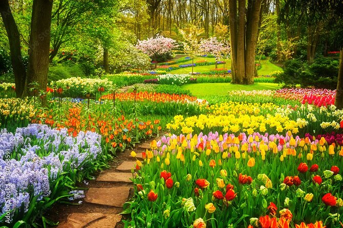 Delft and Keukenhof Gardens Tour from Brussels - Three hours among Keukenhof’s spring flowers