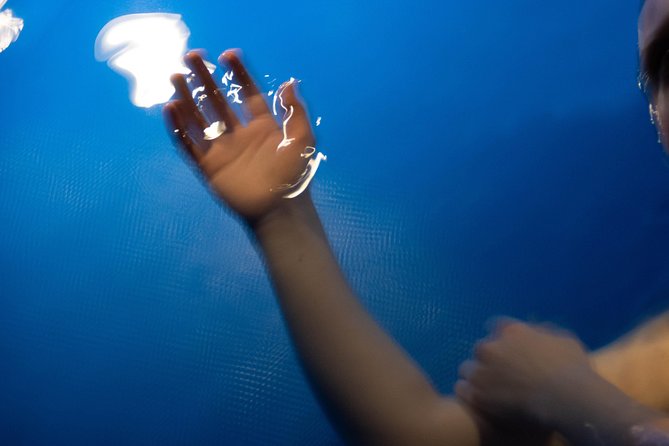 Floating in the clouds - The first 10 to 15 minutes in the sensory room