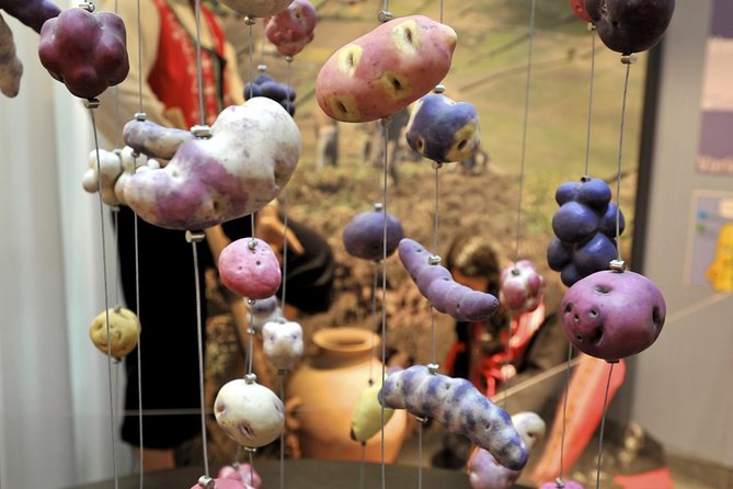 Frietmuseum Entrance Ticket - A potato story inside Bruges’ Saaihalle