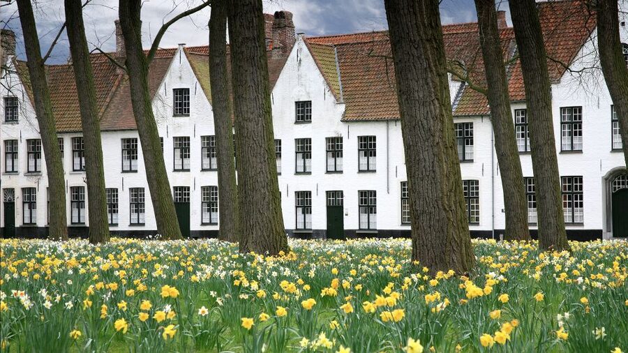 From Amsterdam: Bruges Day Trip in English with Boat Option - Is the optional boat ride worth adding?