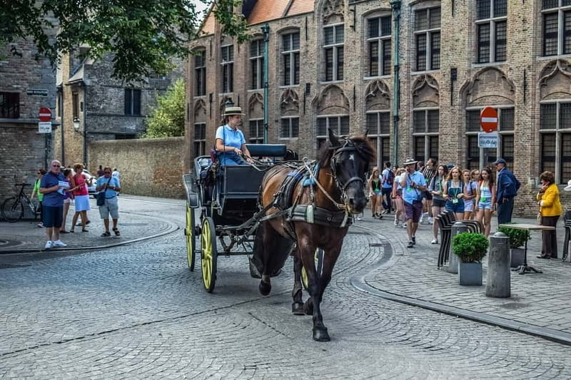 From Amsterdam: Private Sightseeing Tour to Bruges - Key points at a glance