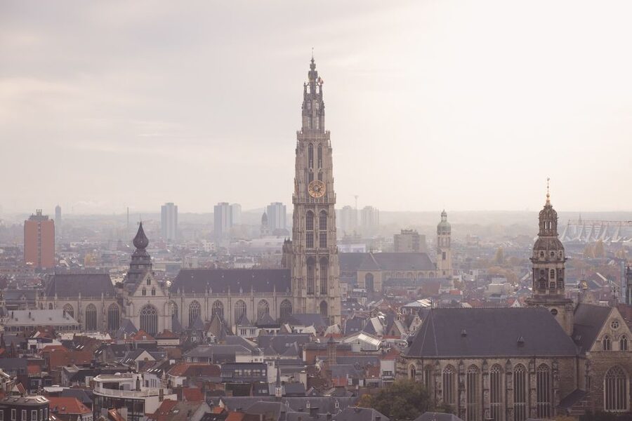 From Brussels: Guided Antwerp City Tour - What the $50 price really covers