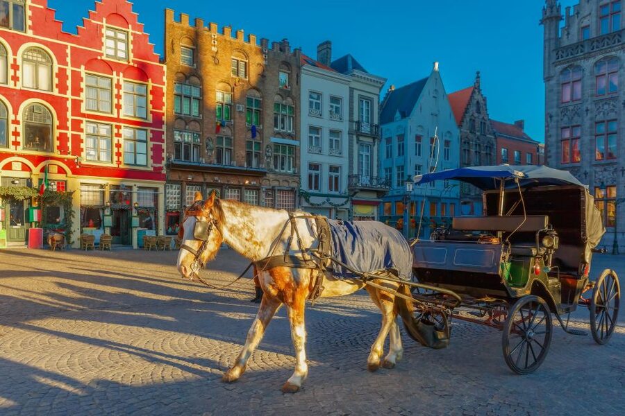 From Paris: Day Trip to Bruges with Optional Seasonal Cruise - The coach ride from Paris to Bruges