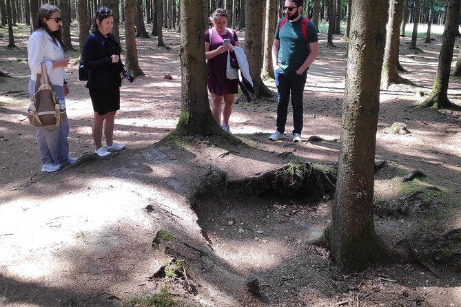 Historic Battle of the Bulge Sites Tour from Brussels - Bastogne Barracks and the cellar behind NUTS