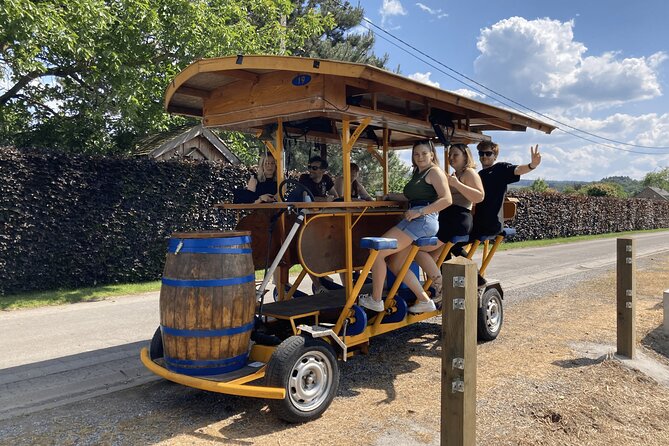 Private Beer Bike Tour in Hotton in the Belgian Ardennes - Choosing drinks without turning the ride into a drinking contest