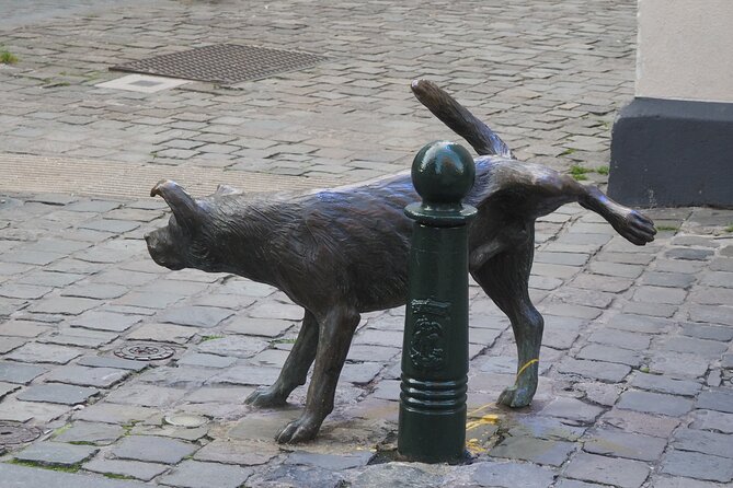 Private Half Day Tour of Brussels - Zinneke Pis and a dog tied to Brussels waterways