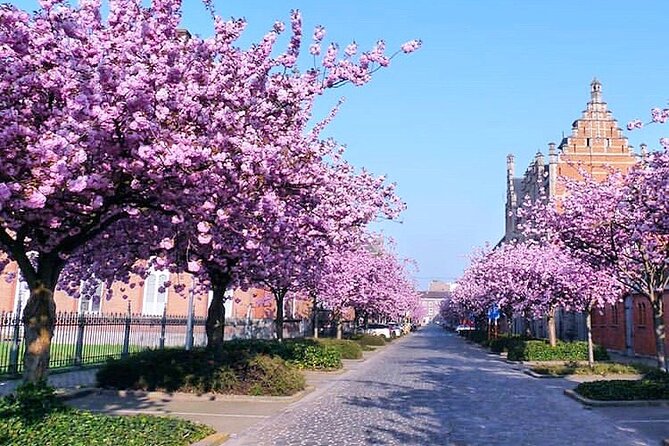 Private Hidden Gems Walking Tour in Ghent - Who will enjoy this three-hour introduction