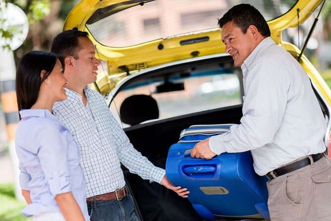 Private One-way Brussels Airport Transfer To Brussels - Families, pets, and access