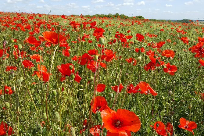 Private Vimy and Belgium Canadian Battlefield Tour from Bruges - Essex Farm and the words of In Flanders Fields
