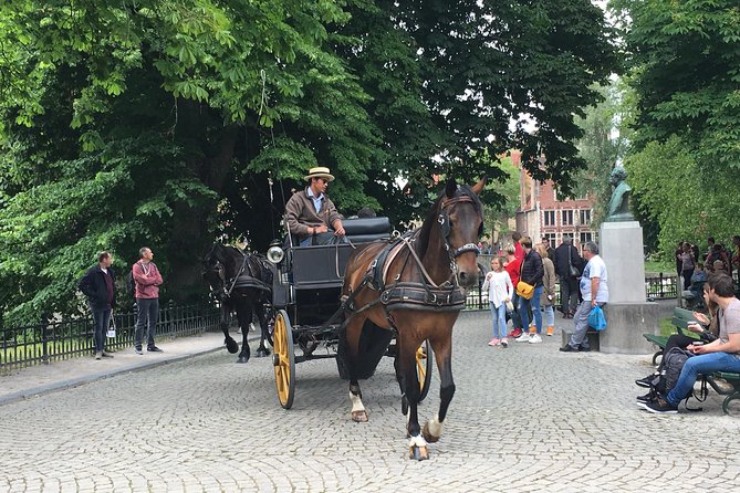 Round-Trip Shuttle Service from Zeebrugge to Bruges - Leaving Zeebrugge cruise port without confusion