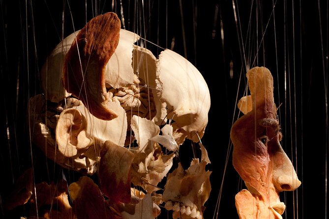 Ticket Expo Body Worlds in Bruges, Belgium - The anatomical mirror gives you something to do