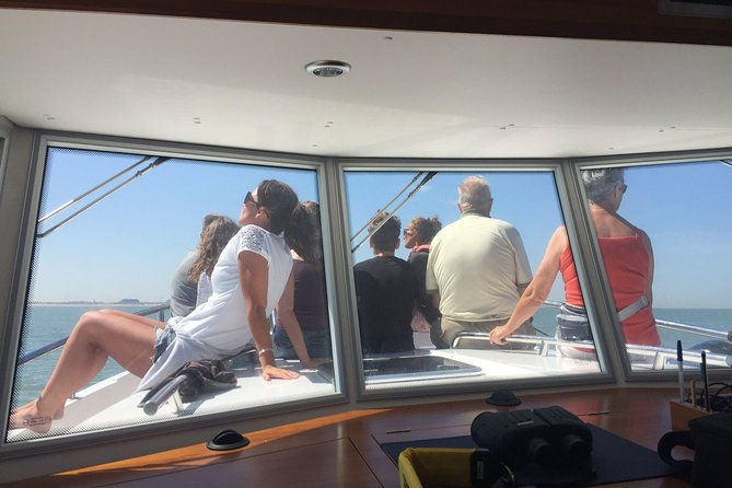 Unforgettable sea trip to the wind farms in the North Sea - Wildlife and the changing sea